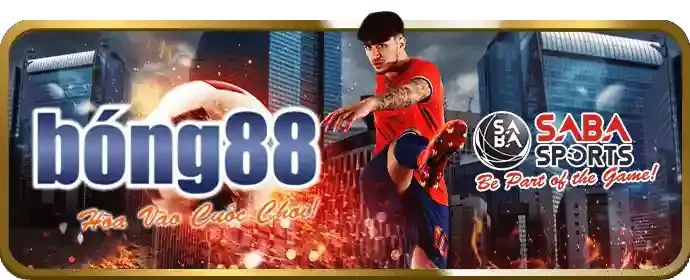 Giá trị cốt lõi và cam kết của ST666